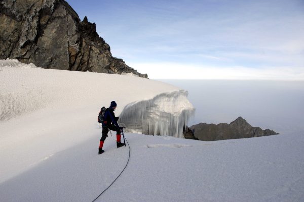 Tiefblick in den Kongo -  Rwenzori-Gebirge, Uganda