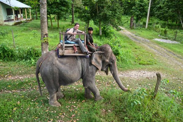 Gut geschaukelt - Dschungeltour per Dickhäuter, Nepal